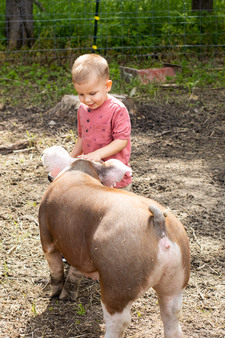Enlarge photo 159