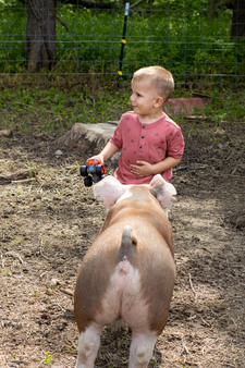 Enlarge photo 161