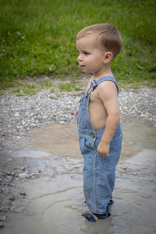 Enlarge photo 183