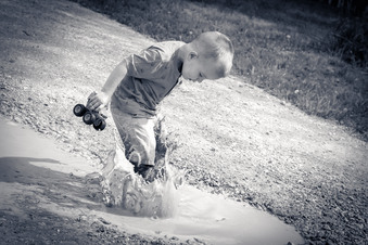 Enlarge photo 221