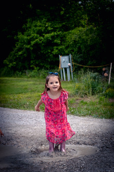 Enlarge photo 227