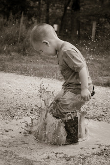 Enlarge photo 240
