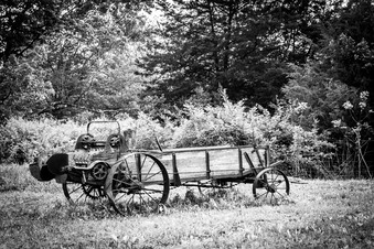 Enlarge photo 250