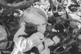 Enlarge photo 78