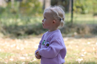 Enlarge photo 186