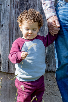 Enlarge photo 53