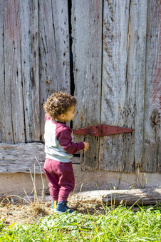 Enlarge photo 59