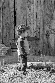 Enlarge photo 60