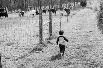 Enlarge photo 69