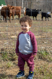 Enlarge photo 76