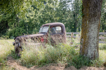 Enlarge photo 92