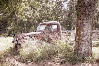 Enlarge photo 93