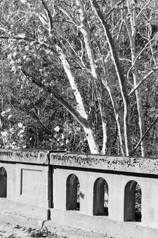 Enlarge photo 103