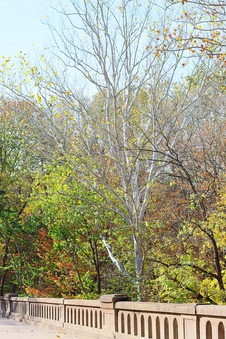 Enlarge photo 104