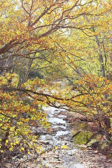 Enlarge photo 106