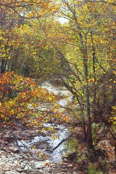 Enlarge photo 107