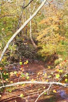 Enlarge photo 108