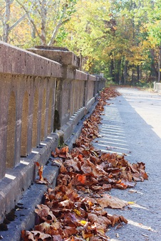 Enlarge photo 110