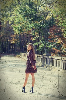 Enlarge photo 129