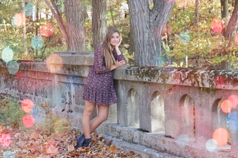 Enlarge photo 147