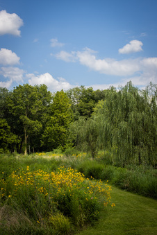 Enlarge photo 66
