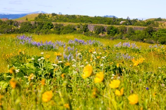 Enlarge photo 43