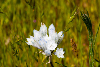 Enlarge photo 44