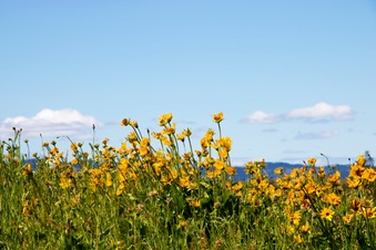 Enlarge photo 49