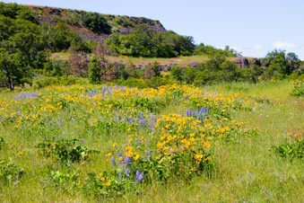 Enlarge photo 50