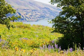 Enlarge photo 56