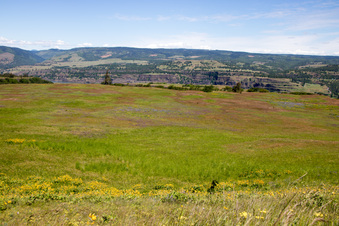 Enlarge photo 67