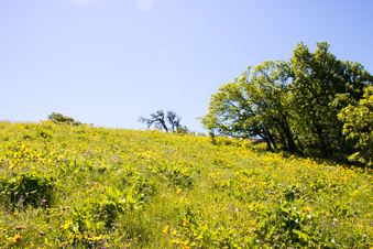 Enlarge photo 69