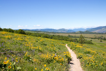 Enlarge photo 83