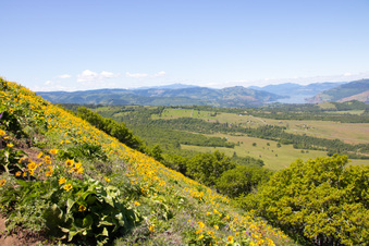 Enlarge photo 90