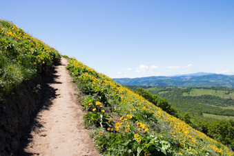 Enlarge photo 91