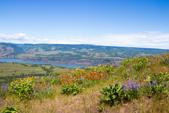 Enlarge photo 93