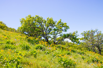 Enlarge photo 143