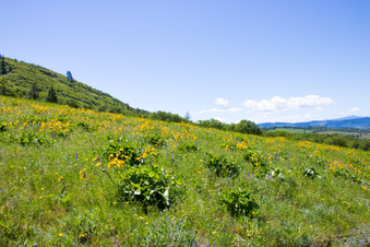 Enlarge photo 146