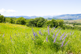 Enlarge photo 150
