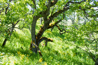 Enlarge photo 156