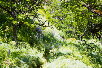 Enlarge photo 160