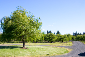 Enlarge photo 170