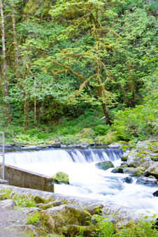 Enlarge photo 186