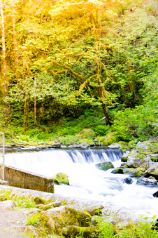 Enlarge photo 187