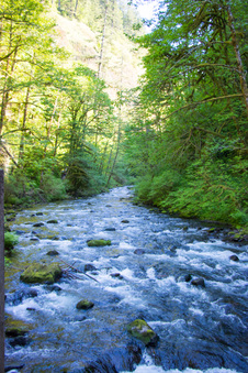Enlarge photo 188