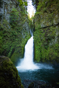 Enlarge photo 193
