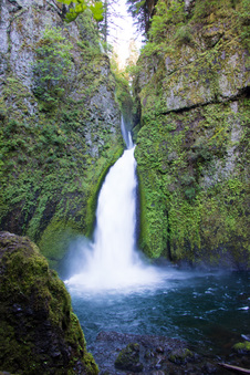 Enlarge photo 194