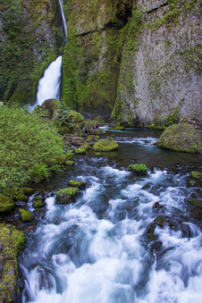Enlarge photo 197