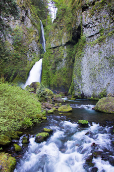 Enlarge photo 321
