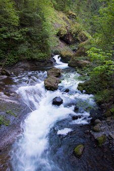Enlarge photo 326